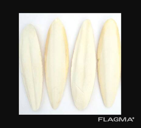 2023 Hot Sale Cuttlefish Bones Dried cuttlefish bone Cuttle fish bone