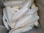 2023 Hot Sale Cuttlefish Bones Dried cuttlefish bone Cuttle fish bone - фото 5