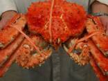 Best King Crab Legs wholesale Prince/ Norwegian Snow crab, Snow crab legs for sale - photo 6