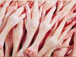 Chicken paws/legs - фото 1