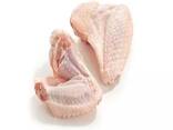 Chicken Wings - фото 1