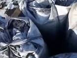 Coal - photo 2
