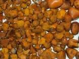 Cow ox gallstone for sale - photo 1