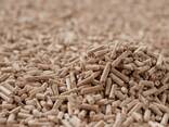 Premium wood pellets - фото 1