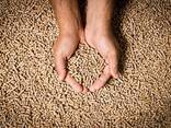 Premium wood pellets - фото 3