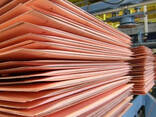 Fast Delivery Copper Wire Roll Copper Cathode 99.99 Pure High Quality - photo 2