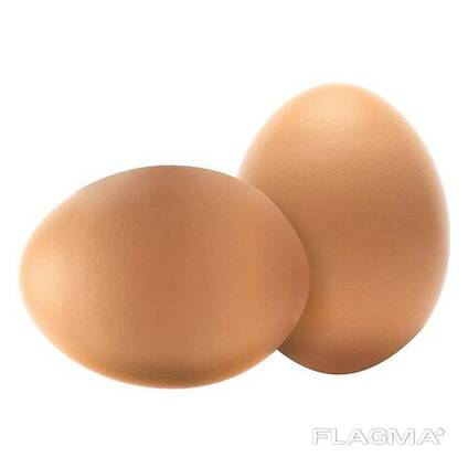 Fresh Chicken Eggs / Farm Table Eggs for Sale/ Best Price Brown and White Eggs