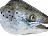 Frozen salmon heads - фото 1