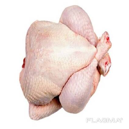 Halal Frozen Chicken Feet/Chicken Paws/ Chicken Leg Quarter