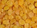 Изюм желтый 1 сорт (Golden) - фото 1