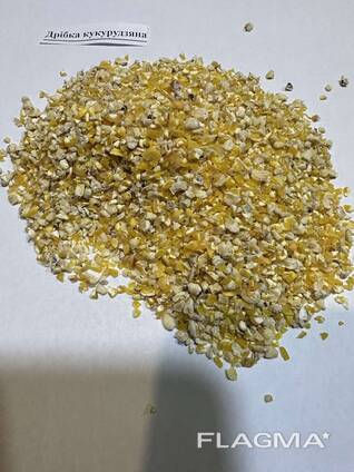 Small corn / the by product of corn processing is crushed