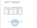 ТоPurustatud kvartsliiv - photo 3