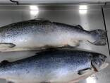 Лосось замороженный потрошеный - фото 1