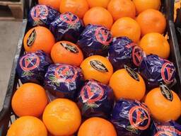 Мандарин Satsuma