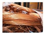 Mill-berry Copper Wire Scrap 99.9%-99.99% Red Yellow TH Origin CPW-468710 for Sale - фото 3