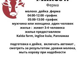 МОЛОЧНАЯ ФЕРМА- ДОЯРКА