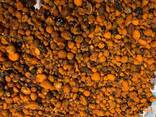 Natural Cattle /Ox Gallstones - фото 2