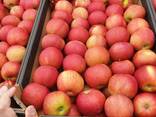 Offers apples from Poland / Продам яблоки из Польши - photo 1