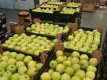 Offers apples from Poland / Продам яблоки из Польши - photo 3