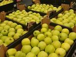 Offers apples from Poland / Продам яблоки из Польши - фото 4