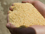 Organic Soybean Meal Animal Feed Soybean Meal Prices High Protein Quality Soybean meal - фото 1