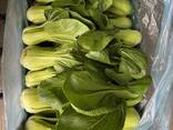 Pak Choi from Poland - photo 1