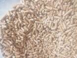 Pelletid