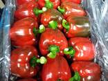 Перец KALIFORNIYA - фото 3