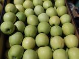 Polish apples (wide range of varieties) - фото 8