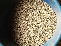 Premium Wood Pellets Available