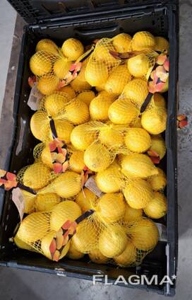 Müüme värskeid puuvilju ja köögivilju otse Hispaaniast