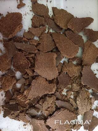 Rapsi pressimisjäägid