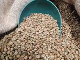 Green coffee, unroasted, assorted. - photo 1