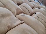 Green coffee, unroasted, assorted. - photo 1