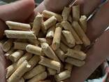 Wood pellets ENplus A1 - photo 1