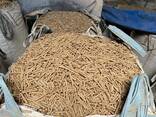 Wood pellets for sale in Europe - photo 5